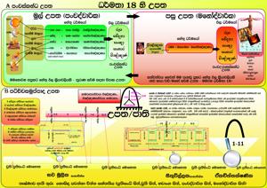 මුල් උපත පසු උපත.jpg
